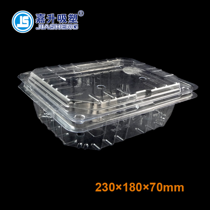 JS-FR-2318 fruit packaging container