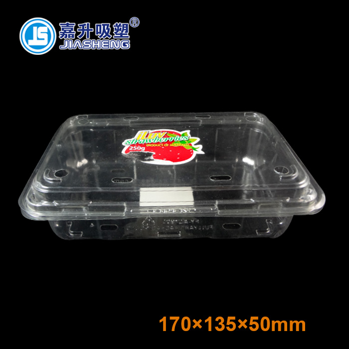 JS-FR-1713 fruit packaging container