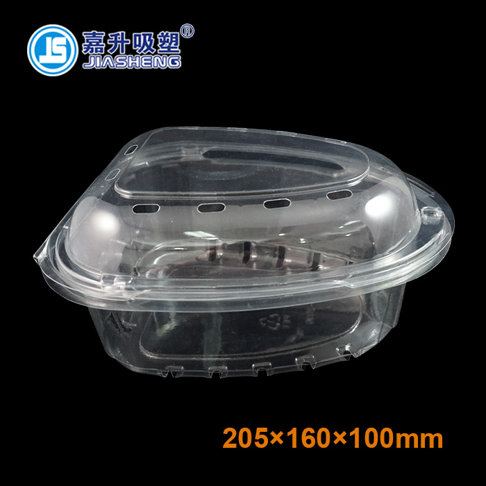 JS-FR-1811 fruit packaging container